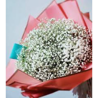 თეთრი გიფსოფილების თაიგული