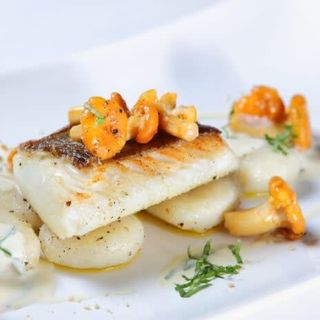 Sandacz w sosie śmietanowym