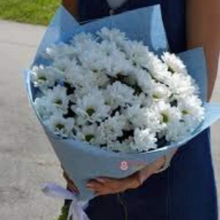 ქრიზანთემები