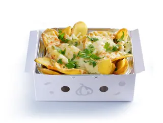 Mozzarella fries