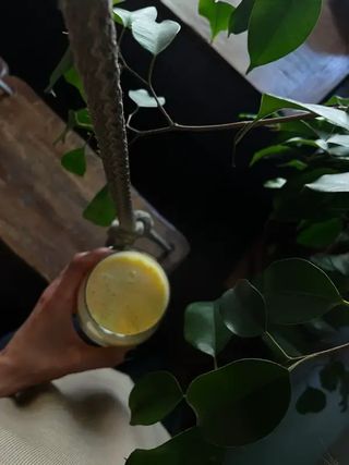 Апельсиновий лимонад (450мл)