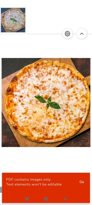 pizza margarita    32