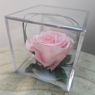 Cubo con rosa ETERNA ROSA
