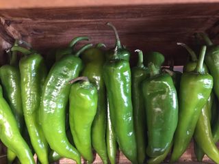 Зелена чушка 