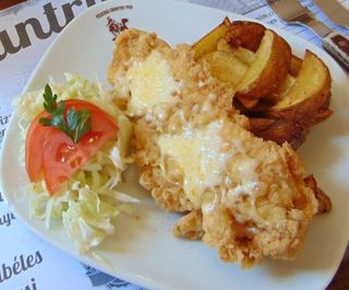 Snitel Palermo de pui