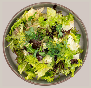 Salată verde