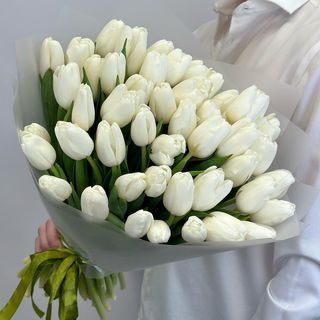 White tulips bouquet