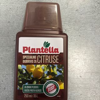 Течен тор за цитруси