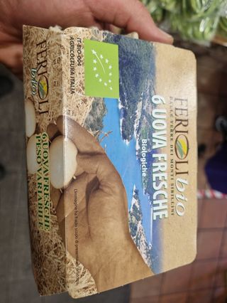 Uova allevate a terra BIO confezione da 6