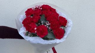 Bukiet Malinowych goździków i gipsówki - 15 szt