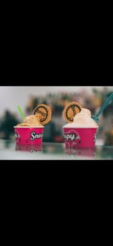 Tarrina Helado Artesano Tamaño Pequeño