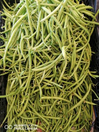 Fagiolini, Polignano a mare, al kg