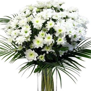 Ramo de margaritas blancas.