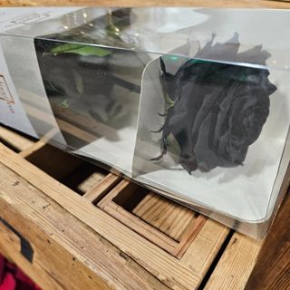 Rosa ETERNA Negra XXL