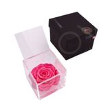Rosa preservada Flowercube 10x10 Color Rosa