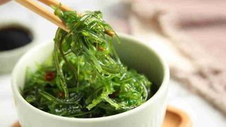 Wakame (vegetariano)