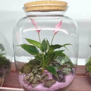 Jardín San valentin 