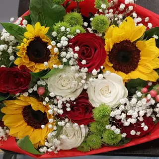 Rosa rosso rosa bianco girasole campo Verde zi Sofia bianco perico
