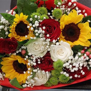 Rosa rosso rosa bianco girasole campo Verde zi Sofia bianco perico