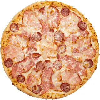 carnivora