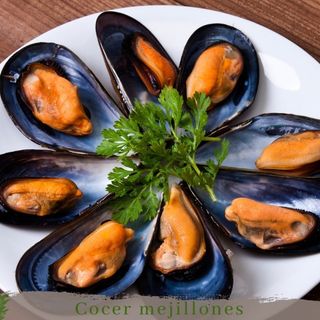 Racion de Mejillones