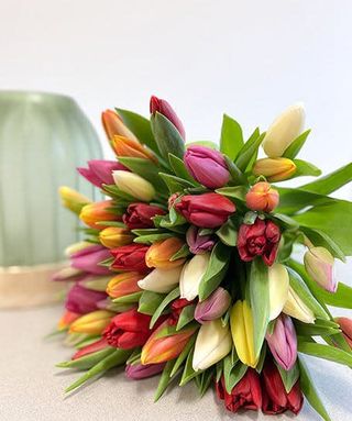 BRASSÉE DE TULIPES MIX