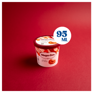 Haagen-Dazs Dulce de Leche 95m
