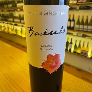 Quinta Da Badula Colheita Selecionada Tinto 2019