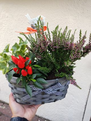 FlowerBox w naczyniu plecionym