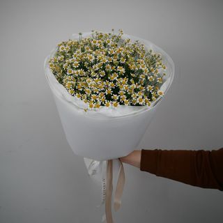 Ромашка танацетум