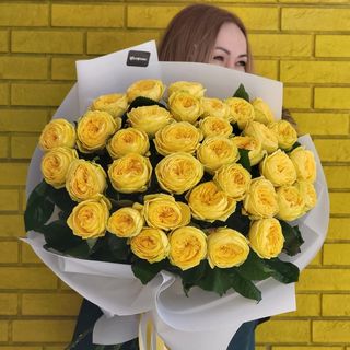 Пионовидные желтые розы 31 шт