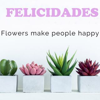 FELICIDADES