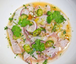 Tiradito de corvina con leche de tigre de marácuya 