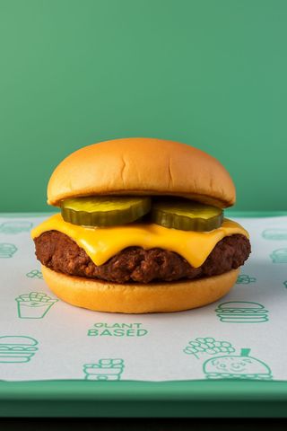 Plant  Based Burger Singolo