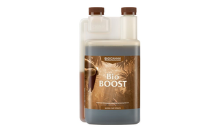 BIOCANNA Bio Boost 1 ლ