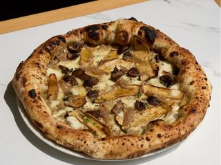 FUNGHI OSTRICA REALE