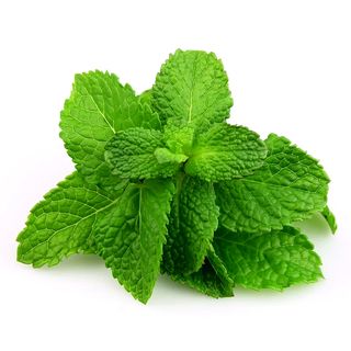 Мята (10 гр.)