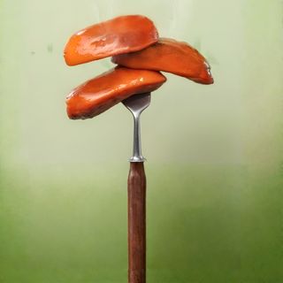 Սարդելկա խորոված