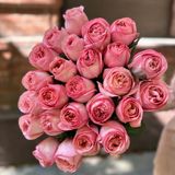 Неймовірна півонієподібна троянда 