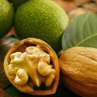 Мелений грецький горіх (20г.)