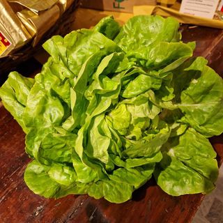 Insalata cappuccina 1 testa