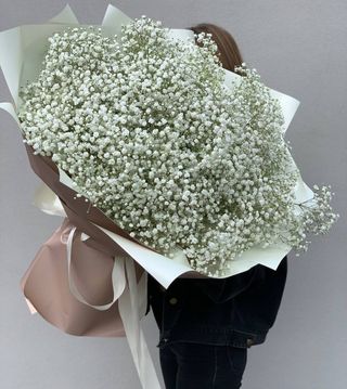 21 гілка білої гіпсофіли в упакуванні №18