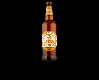 MORETTI BOTTIGLIA 33CL