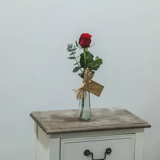1 rosa roja con recipiente de cristal