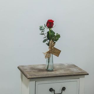 1 rosa roja con recipiente de cristal