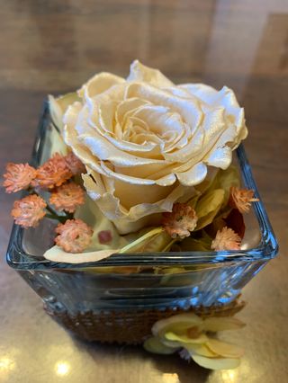 Rosa stabilizzata in contenitore