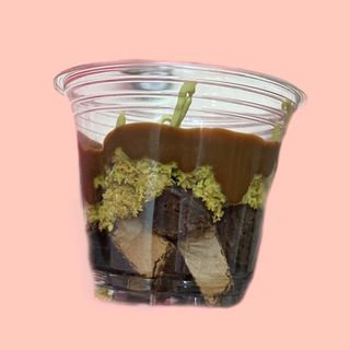Verrine ChocoPistache