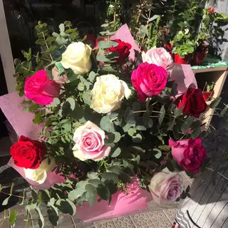 Docena de rosas variadas 