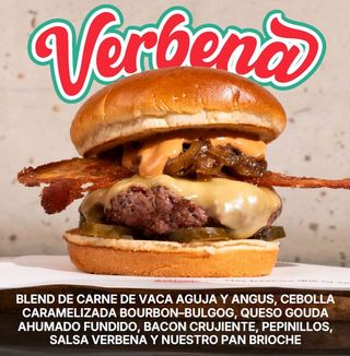 HAMB VERBENA