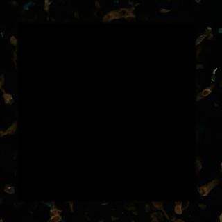 Бакалава Чийзкейк